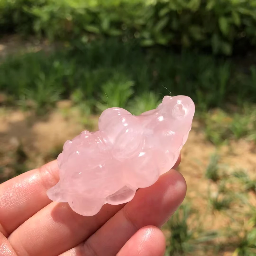 6cm Crocodile Statue Hand Carved Rose Quartz Healing Crystal Animal Figurine Home Decoration Gifts
6cm Crocodile Statue Hand Carved Rose Quartz Healing Crystal Animal Figurine Home Decoration Gifts