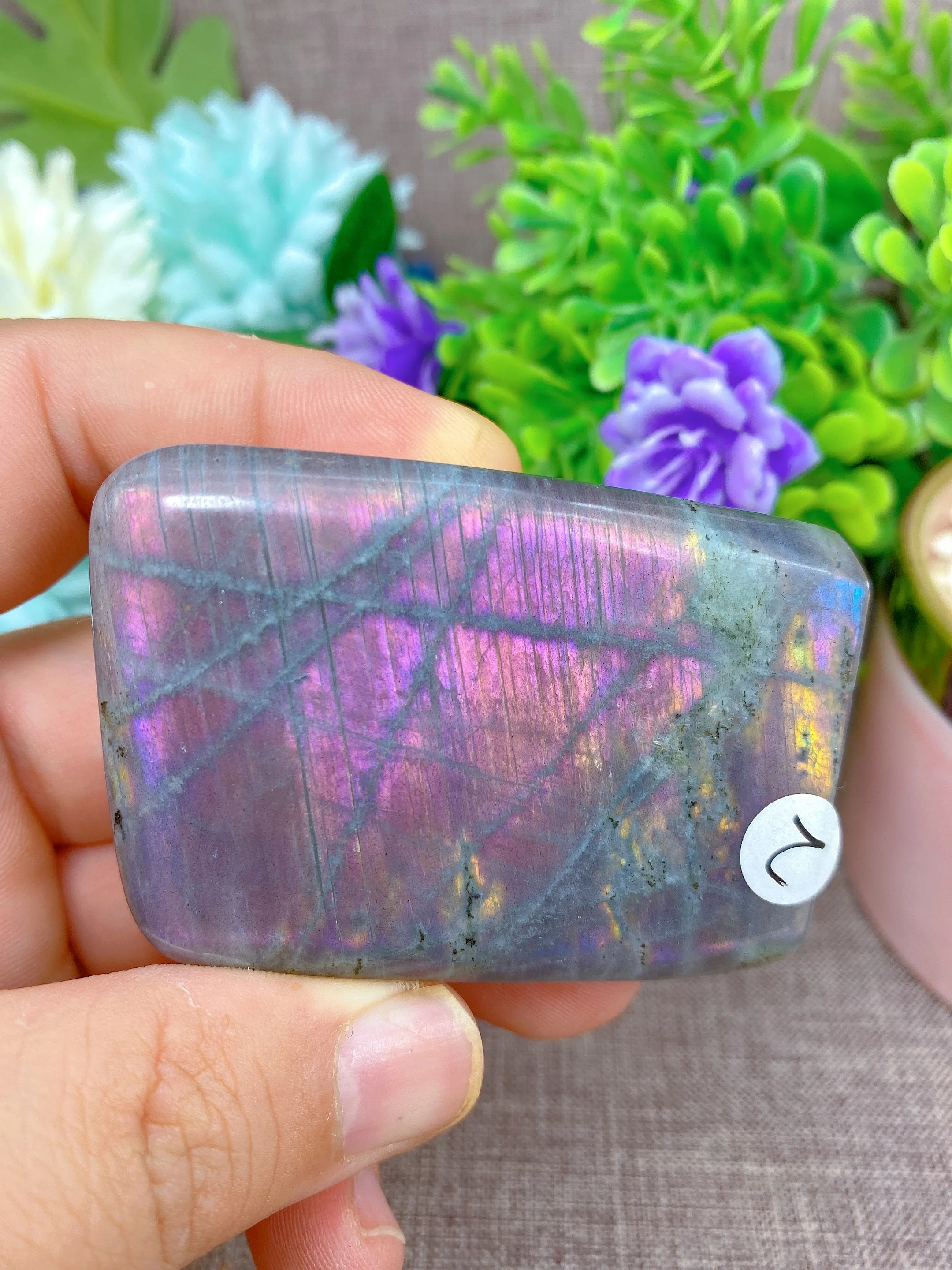 Natural Crystal Purple Blue Labradorite Free Form Home Decoration Minerals Reiki Craft Gemstone Energy Healing
Natural Crystal Purple Blue Labradorite Free Form Home Decoration Minerals Reiki Craft Gemstone Energy Healing
