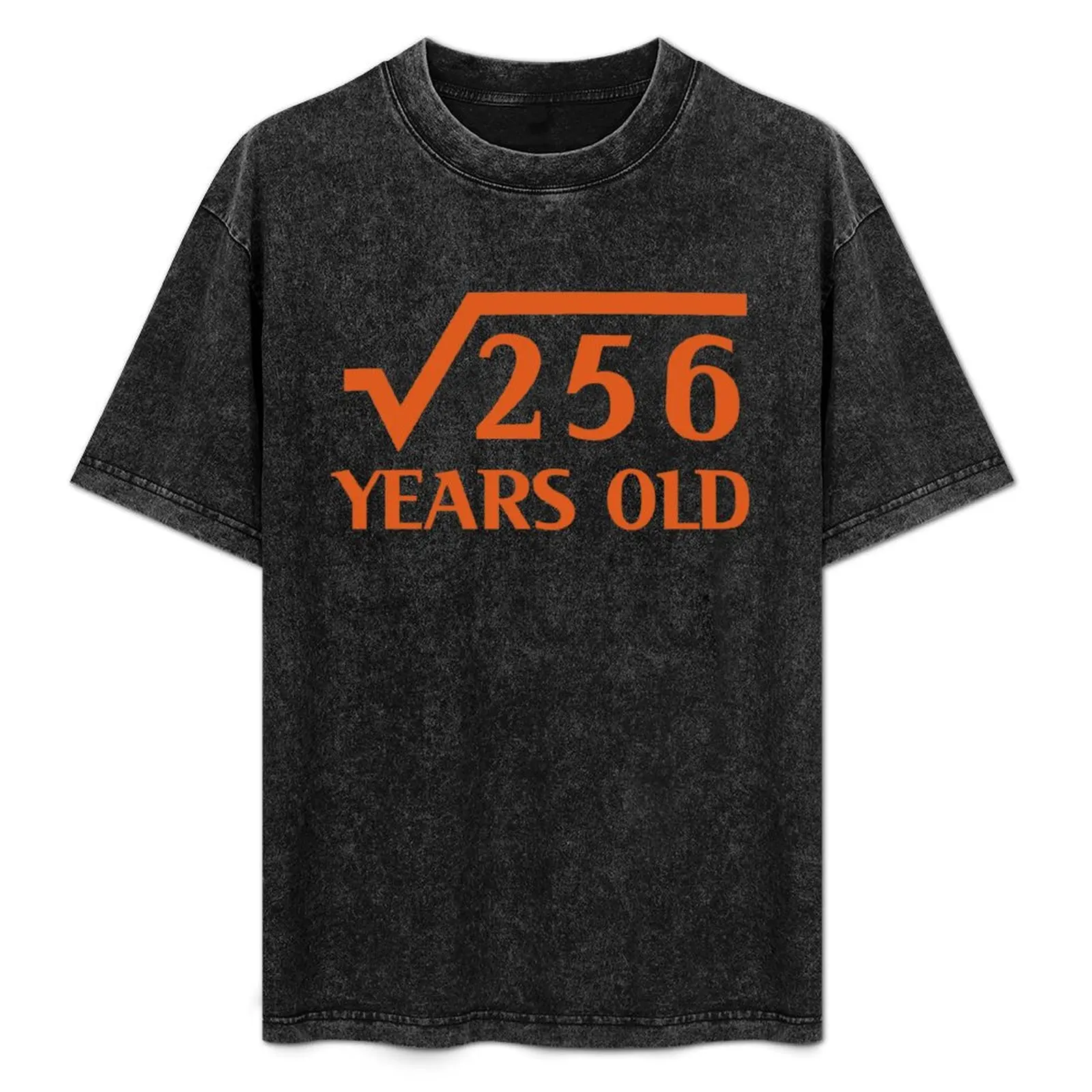 16th Happy Birthday Art 16 Years Old Square Root of 256 T-Shirt Anti-Wrinkle Short Sleeve T-Shirt
16th Happy Birthday Art 16 Years Old Square Root of 256 T-Shirt Anti-Wrinkle Short Sleeve T-Shirt