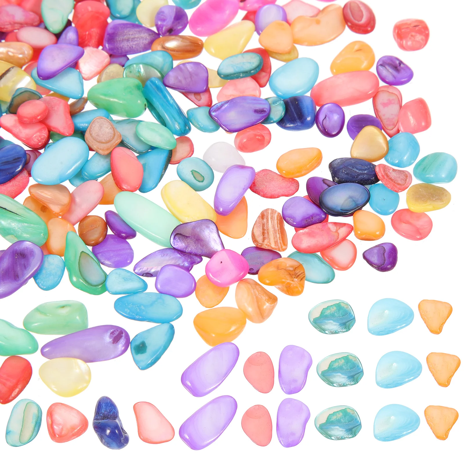 Shell Pieces Decoration Crafts DIY Material Seashells Durable Jewelry Art Supplies Home Decorative Accessories For Frames
Shell Pieces Decoration Crafts DIY Material Seashells Durable Jewelry Art Supplies Home Decorative Accessories For Frames