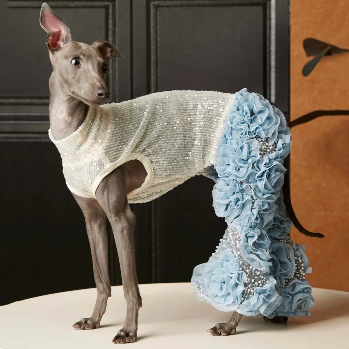 Spring Jumpsuit for Italian Greyhound Gorgeous Faux Pearl Rhinestone Mesh Wine Glass Pant Paired White Sequin Top Coat for Dogs
Spring Jumpsuit for Italian Greyhound Gorgeous Faux Pearl Rhinestone Mesh Wine Glass Pant Paired White Sequin Top Coat for Dogs