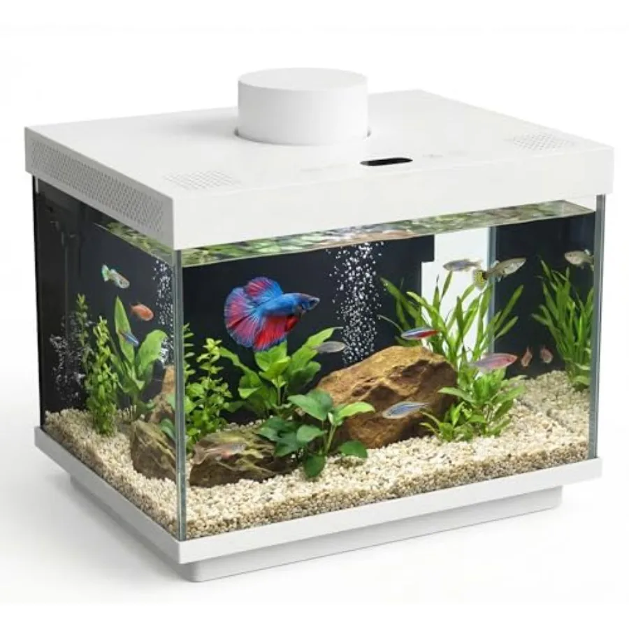 Smart Fish Tank 1.82 Gallon Glass Aquarium Starter Kit with App Control Auto Feeder with Dual-Direction Dispensing Real-time Te
Smart Fish Tank 1.82 Gallon Glass Aquarium Starter Kit with App Control Auto Feeder with Dual-Direction Dispensing Real-time Te