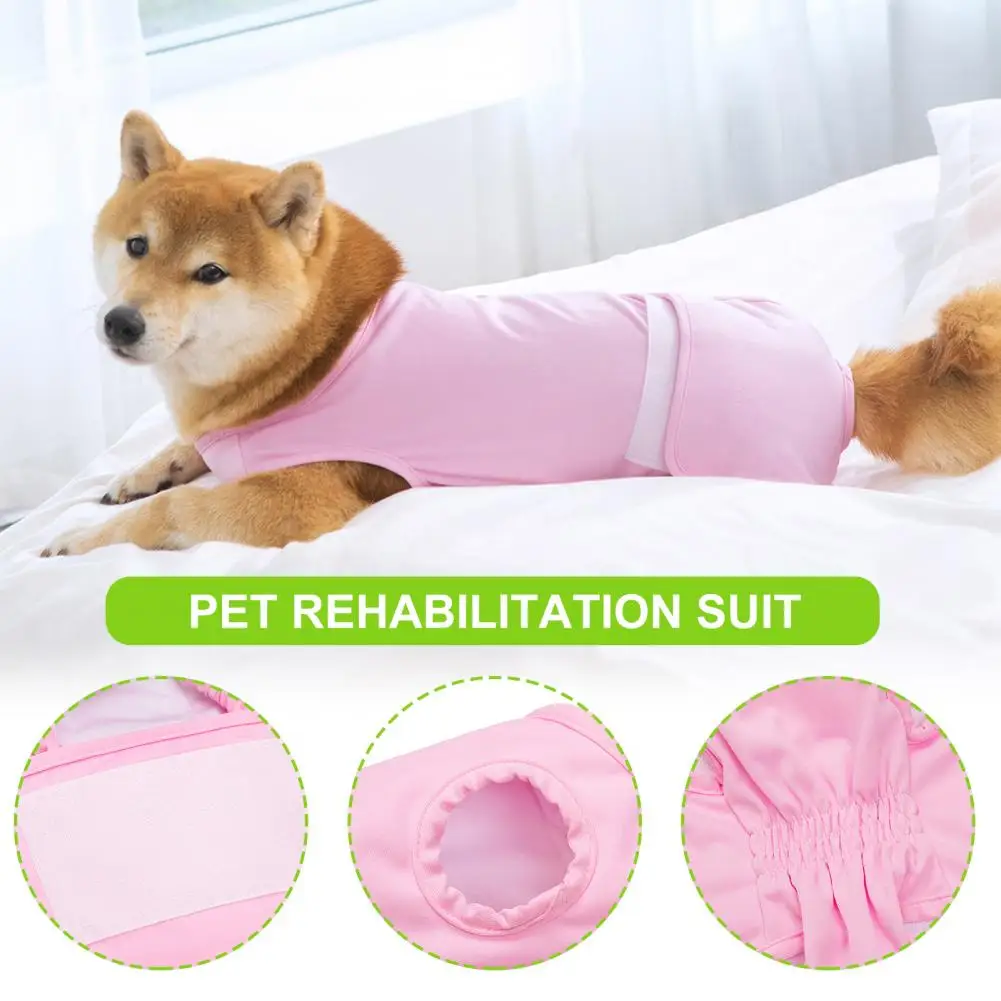Pet Recovery Clothes Comfortable Breathable Adjustable Dog Surgery Recovery Suit Anti licking Clothes Kit Pet Supply
Pet Recovery Clothes Comfortable Breathable Adjustable Dog Surgery Recovery Suit Anti licking Clothes Kit Pet Supply