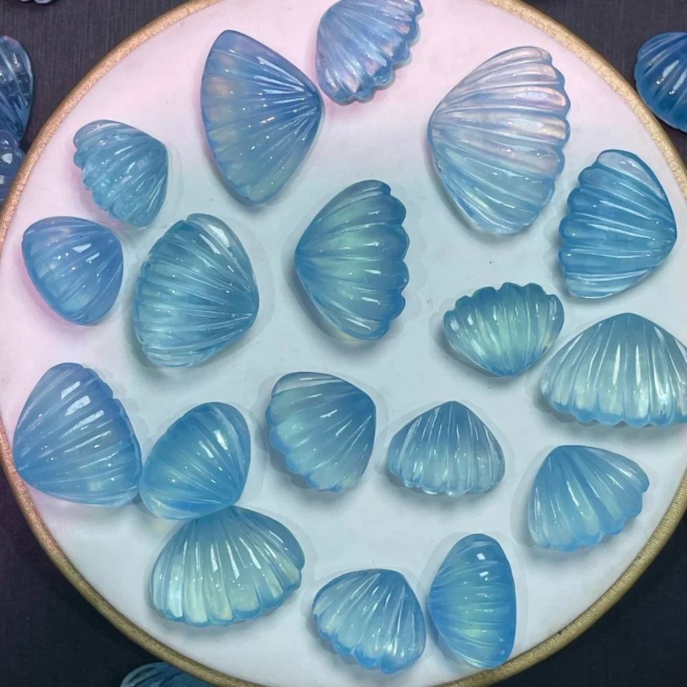 3PCS Natural Aquamarine Shell Quartz Pendant Polished Crystal Reiki Healing Jewelry Gift Cute Rock Decoration
3PCS Natural Aquamarine Shell Quartz Pendant Polished Crystal Reiki Healing Jewelry Gift Cute Rock Decoration