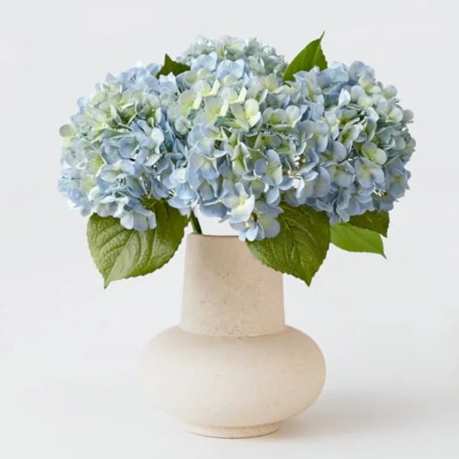 20" 4PCS Artificial Hydrangea Flowers Large Faux Latex Real Touch Fake Hydrangeas Silk Bouquet with Leaves Stems for Family Tab
20" 4PCS Artificial Hydrangea Flowers Large Faux Latex Real Touch Fake Hydrangeas Silk Bouquet with Leaves Stems for Family Tab