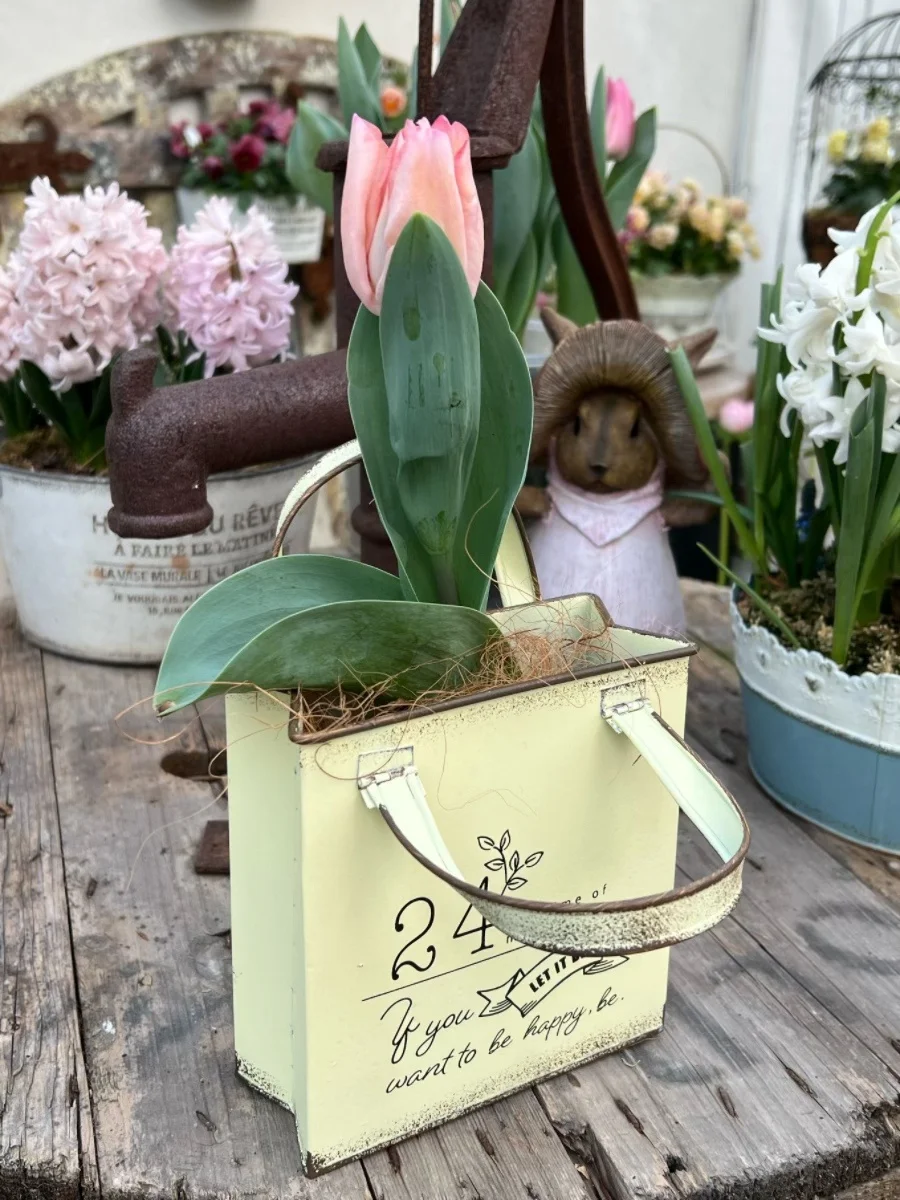 Декоративное кашпо из кованого железа в деревенском стиле, квадратное, маленькое, для цветов и растений, для балкона и сада, винтажный декор для дома
Декоративное кашпо из кованого железа в деревенском стиле, квадратное, маленькое, для цветов и растений, для балкона и сада, винтажный декор для дома