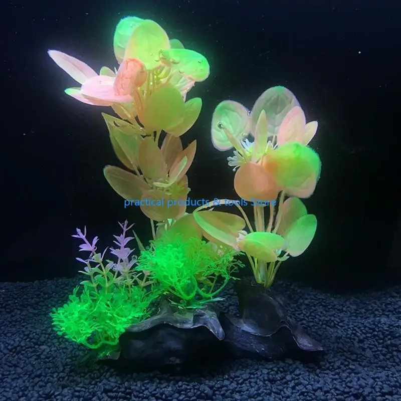 77JB Aquarium Plastic Plants Realistic Plants Decorations Non Toxic Safe for All Fish
77JB Aquarium Plastic Plants Realistic Plants Decorations Non Toxic Safe for All Fish