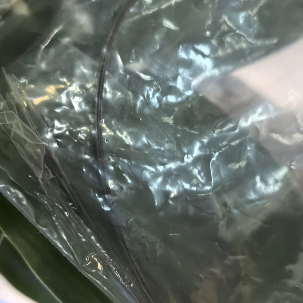 20PCS 1557662 1518851 1443407 1292778 SCALE CR Encoder Strip for EPSON 1390 1400 1410 1430 1500 R1800 R1900 R2000 R2400 R2880