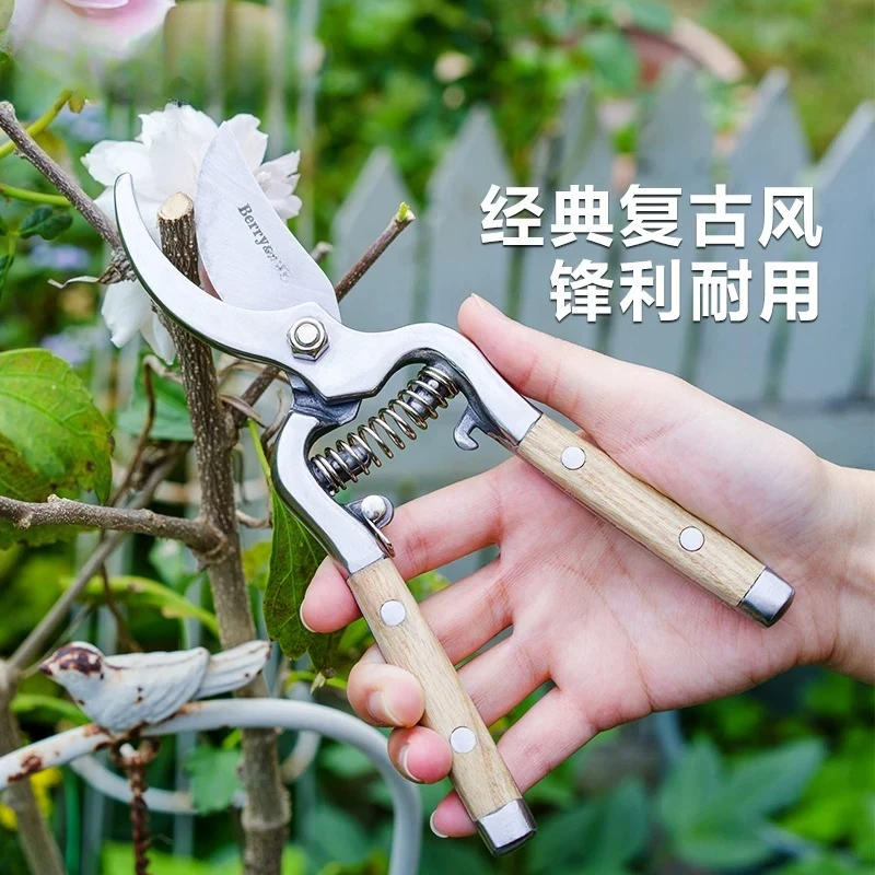 Gardening Forest Gardening Pruning Shears Thick Branch Special Fruit Tree Potted Floral Shears
Gardening Forest Gardening Pruning Shears Thick Branch Special Fruit Tree Potted Floral Shears