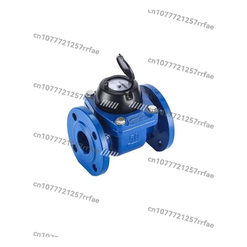 2-Inch flange water meter:
2-Inch flange water meter: