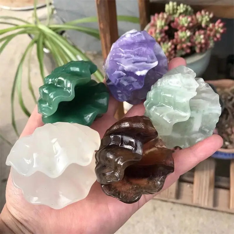 Natural Crystal Rose Quartz Fluorite Green Aventurine Stone Shell Carved Quartz Crystal Figurine Ornament Home Decor 1pcs
Natural Crystal Rose Quartz Fluorite Green Aventurine Stone Shell Carved Quartz Crystal Figurine Ornament Home Decor 1pcs