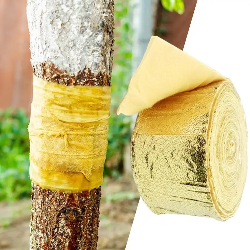 Winter Tree Heat Preservation And Moisture Retention Belt Cold And Frost Protection Gold Film Wraps Garden Plant Bandages
Winter Tree Heat Preservation And Moisture Retention Belt Cold And Frost Protection Gold Film Wraps Garden Plant Bandages