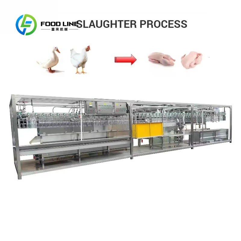 Factory Customized Chicken Slaughtering Line High Efficiency Poultry Slaughterhouse Commercial Slaughter Machine
Factory Customized Chicken Slaughtering Line High Efficiency Poultry Slaughterhouse Commercial Slaughter Machine