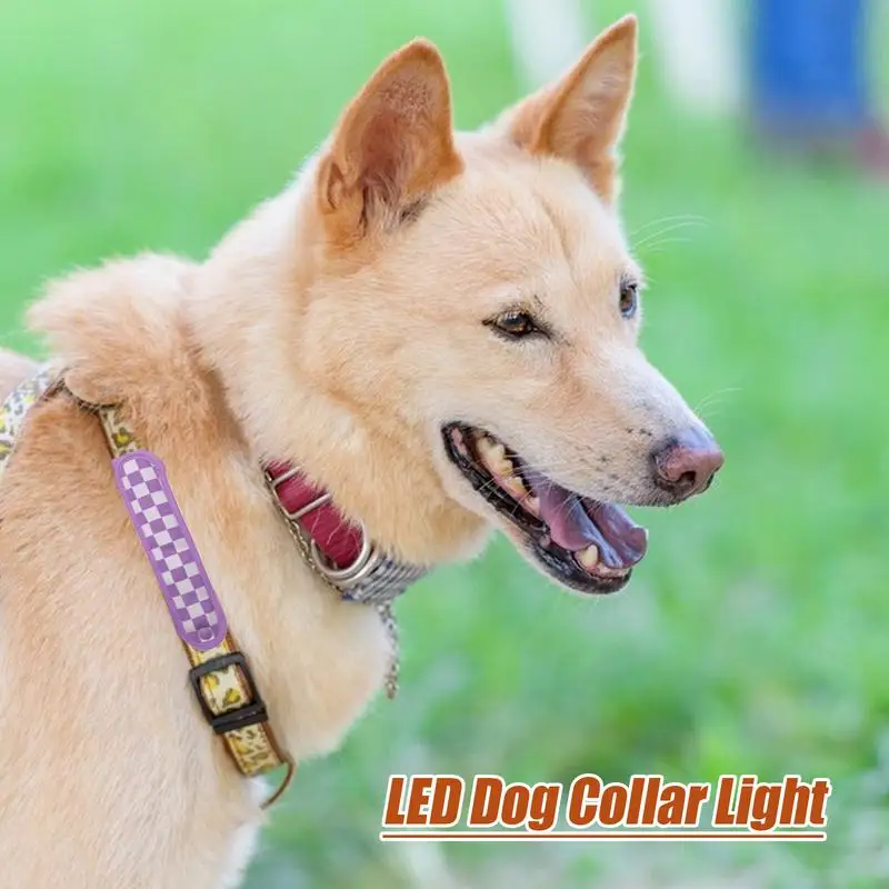 Reflective Dog Collar Light Up Dog Collar Reflective Lighted Adjustable Gear For Night Walking Camping Puppy Cat Pets
Reflective Dog Collar Light Up Dog Collar Reflective Lighted Adjustable Gear For Night Walking Camping Puppy Cat Pets