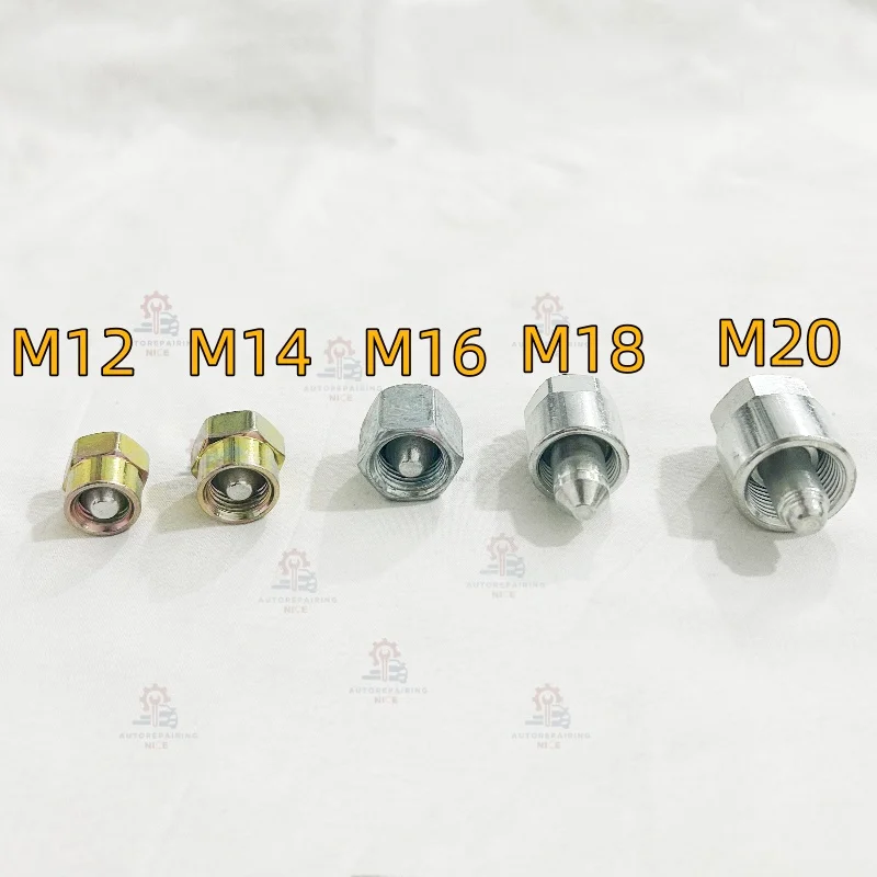 10PCS Diesel Common Rail Pump Tube Pipe Cylinder Cutout Plugs M14 M12 M16 M18 M20 for Weichai Renault Iszu Cummins
10PCS Diesel Common Rail Pump Tube Pipe Cylinder Cutout Plugs M14 M12 M16 M18 M20 for Weichai Renault Iszu Cummins