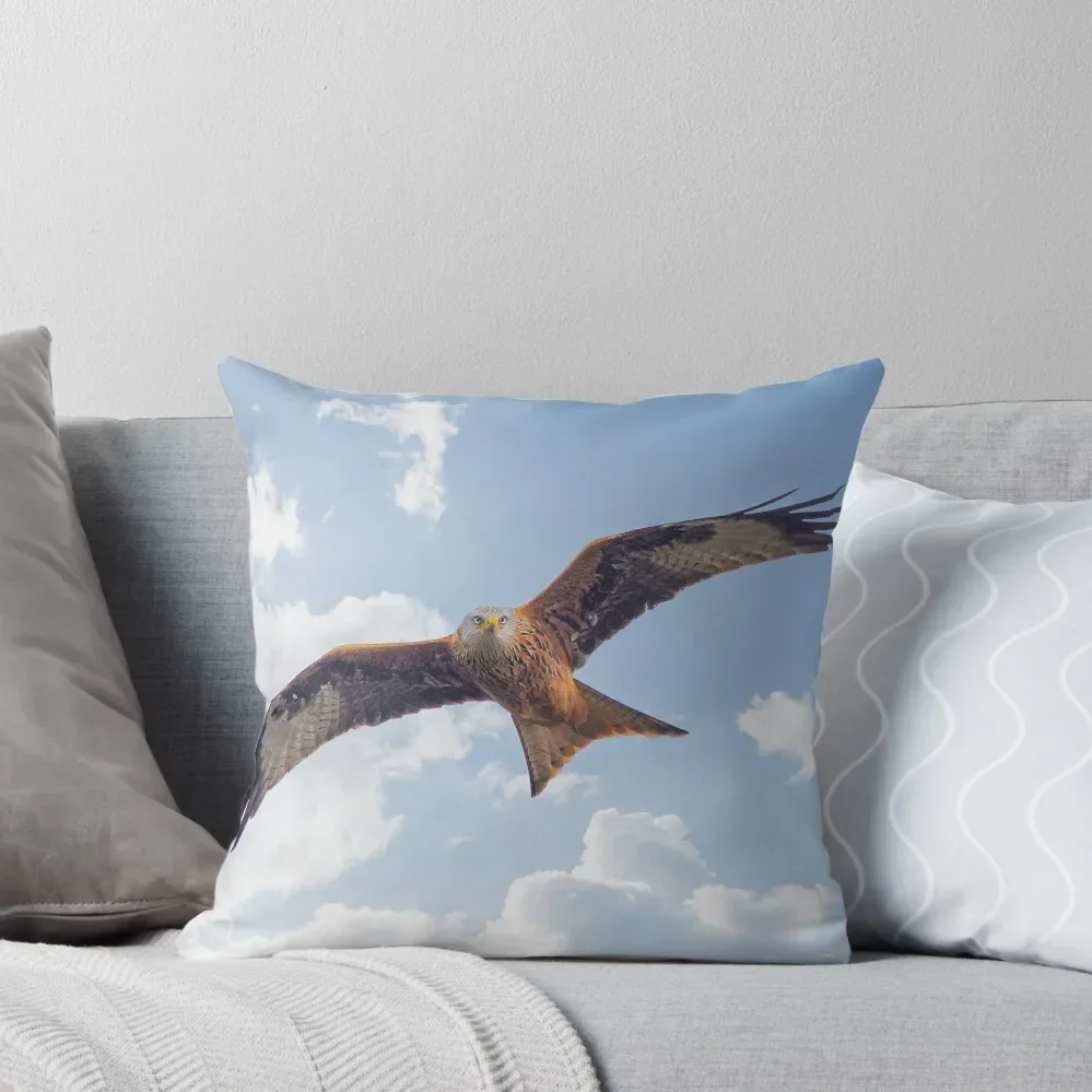 Red kite in flight Throw Pillow luxury home accessories Pillowcases Room decorating items pillow
Red kite in flight Throw Pillow luxury home accessories Pillowcases Room decorating items pillow