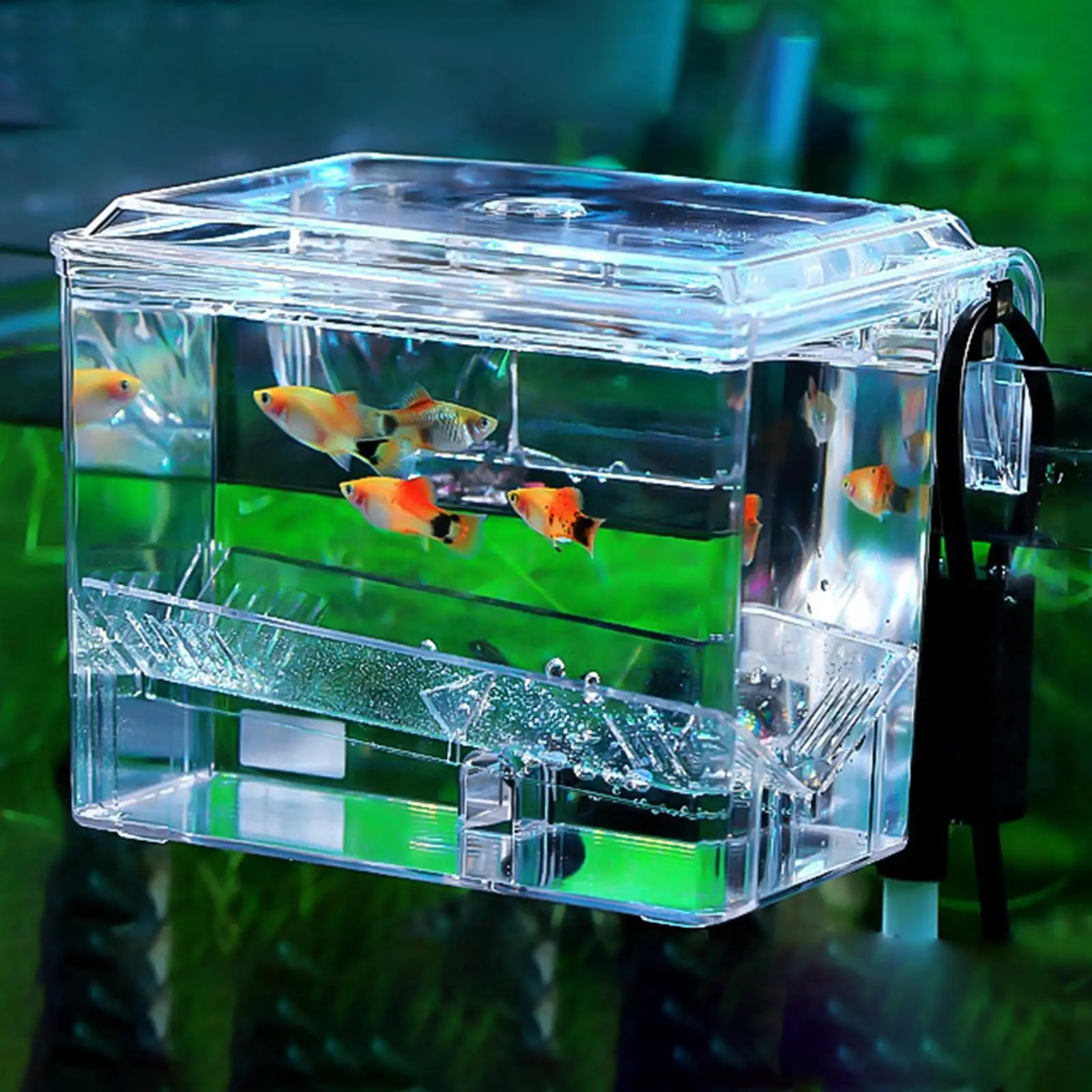 Fish Breeding Box Hatchery Container Transparent Multipurpose Square Small Fish Hatchery Separation for Aquarium Accessories
Fish Breeding Box Hatchery Container Transparent Multipurpose Square Small Fish Hatchery Separation for Aquarium Accessories