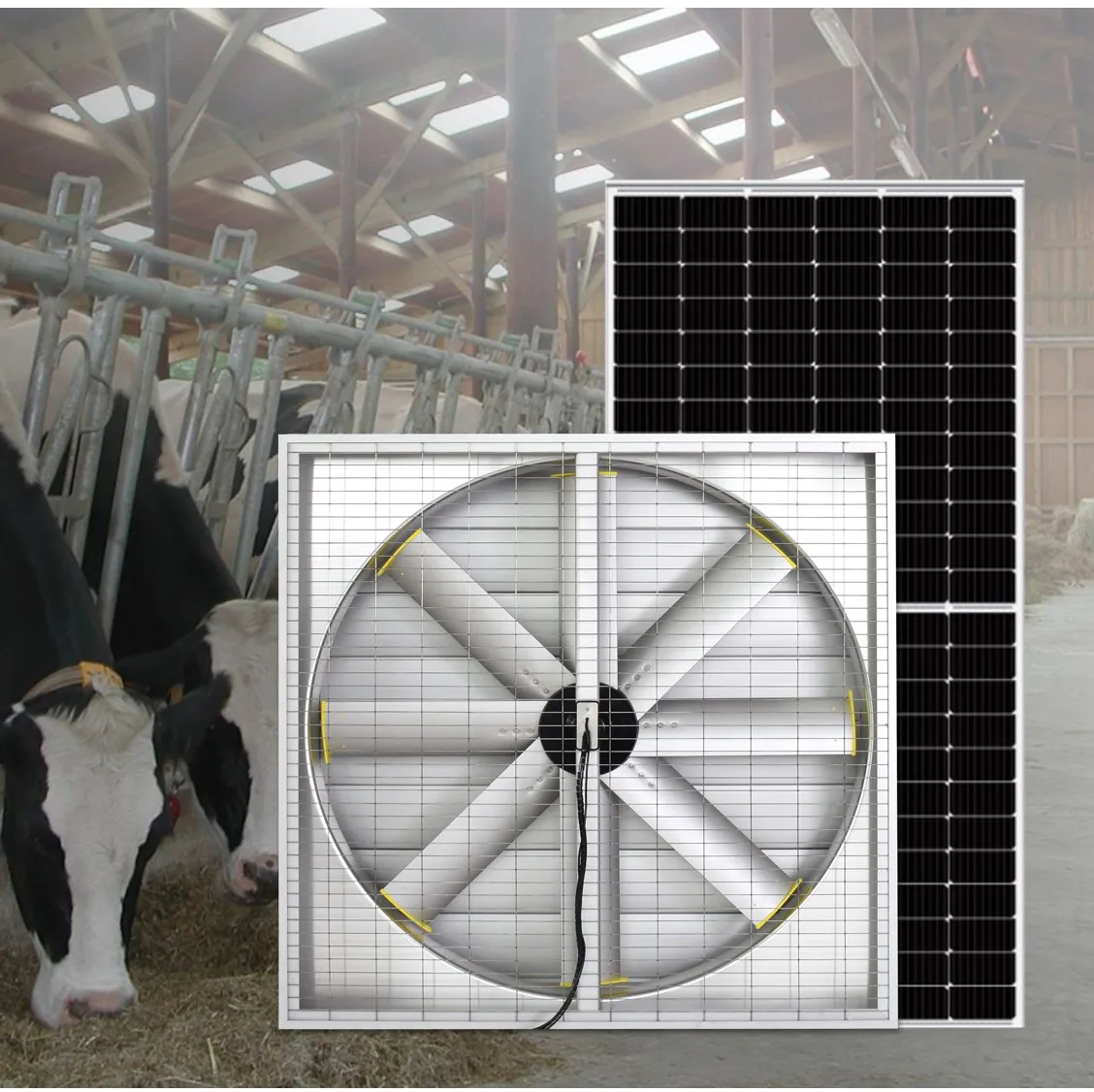 Energy Saving Solar Power Industrial Cooling Ventilation System Strong Aluminum Alloy Big Wall Fan with Shutter for Chicken Farm
Energy Saving Solar Power Industrial Cooling Ventilation System Strong Aluminum Alloy Big Wall Fan with Shutter for Chicken Farm