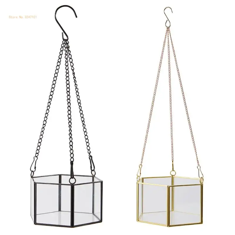 Modern Hanging Glass Terrarium Geometric Hexagon Shaped Succulent Air Plant Holder Container Wall Planter Flower Pot Dropship
Modern Hanging Glass Terrarium Geometric Hexagon Shaped Succulent Air Plant Holder Container Wall Planter Flower Pot Dropship