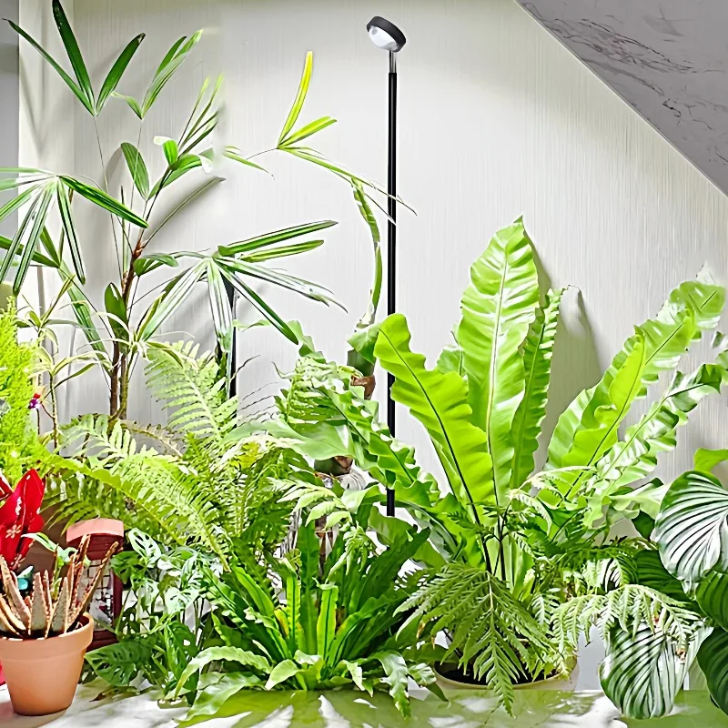 Home Plant Grow Light for Succulent & Tropical Plants LED Full Spectrum Sunlike Light Balcony Green Plant Growth Lighting System
Home Plant Grow Light for Succulent & Tropical Plants LED Full Spectrum Sunlike Light Balcony Green Plant Growth Lighting System