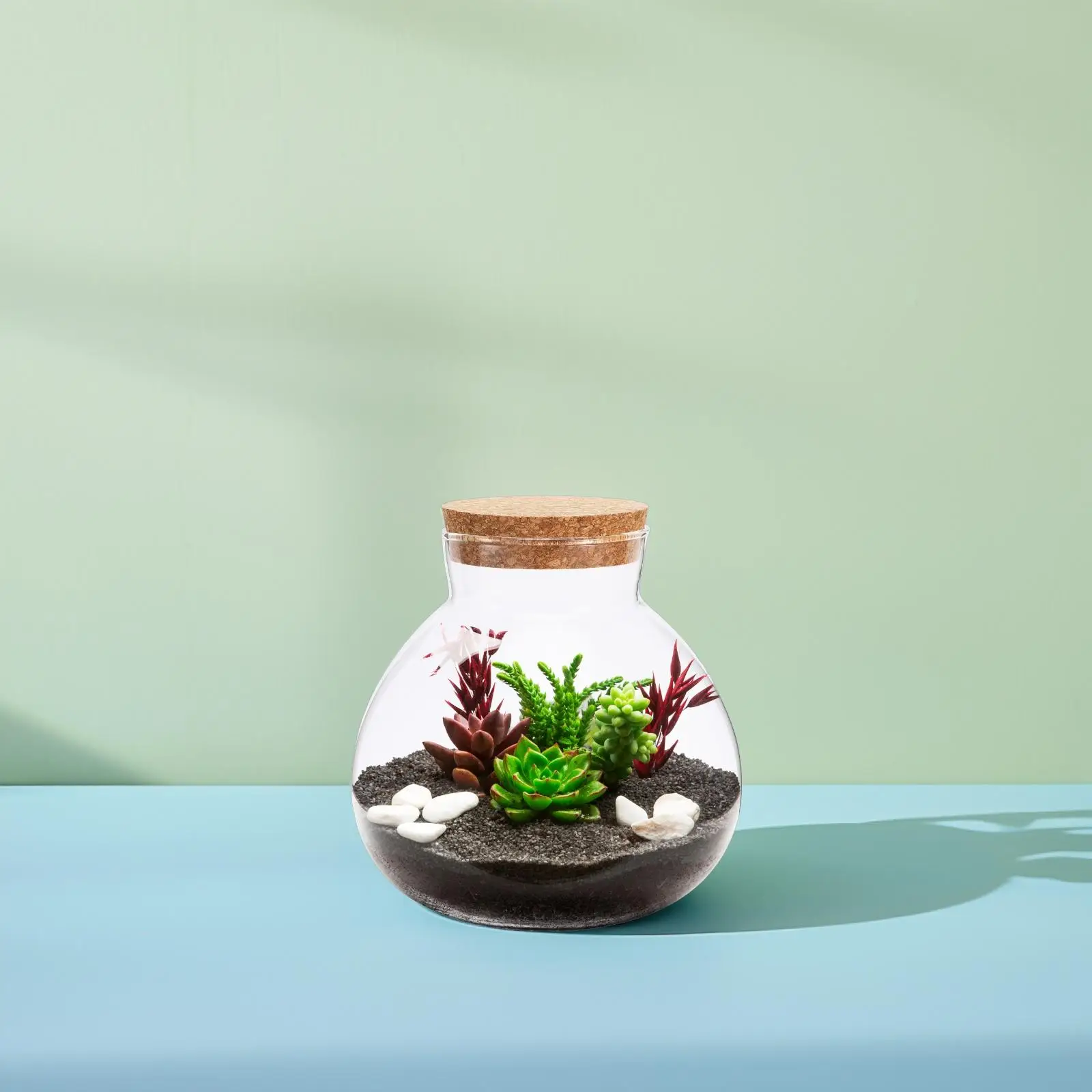 Home Terrarium Eco Bottle Desktop Micro-landscape Fish Tank Microlandschaft Empty
Home Terrarium Eco Bottle Desktop Micro-landscape Fish Tank Microlandschaft Empty