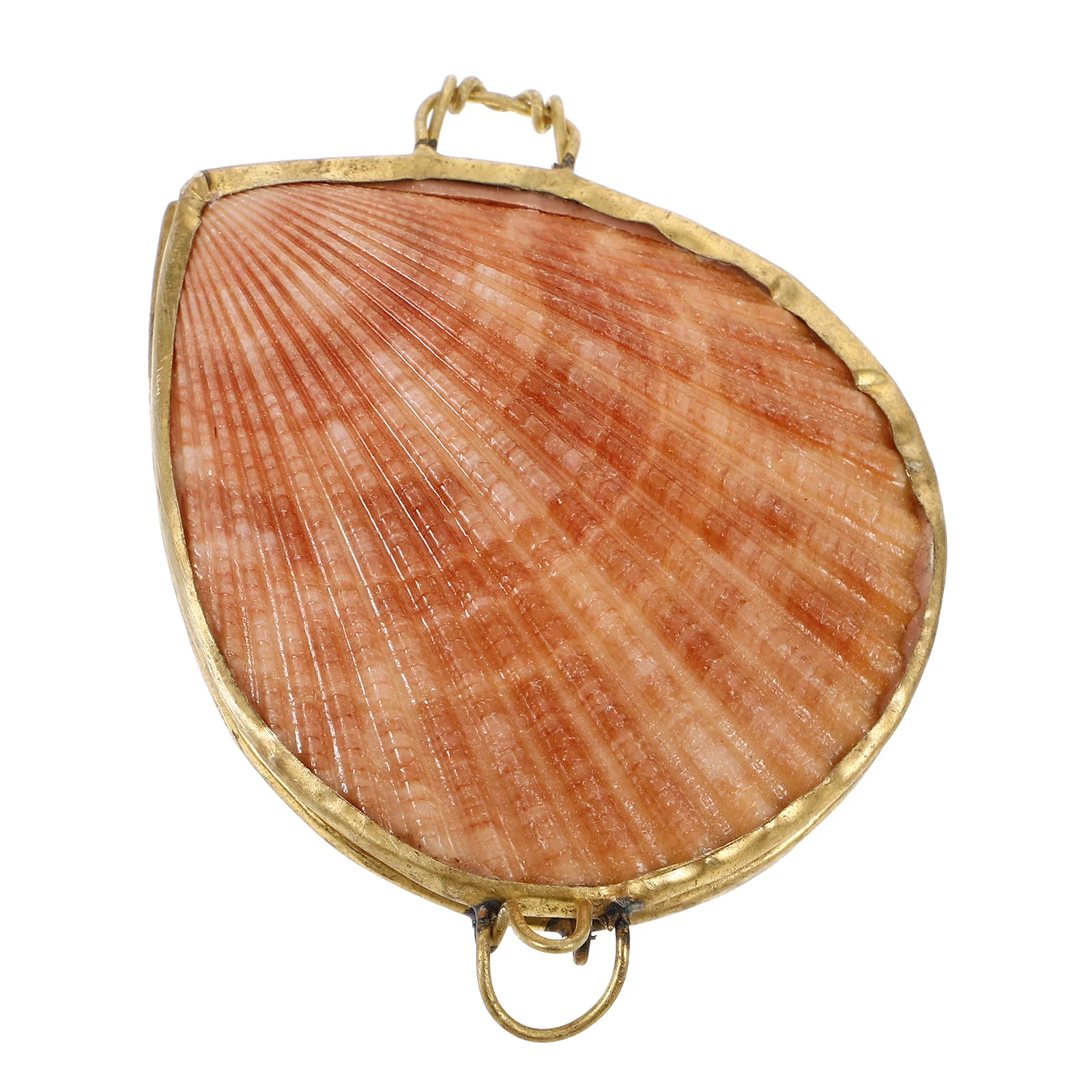 Seashell Jewelry Box 6cm Shell Container Rings Earrings Necklace Storage Travel Gift Boxes Valentine Birthday
Seashell Jewelry Box 6cm Shell Container Rings Earrings Necklace Storage Travel Gift Boxes Valentine Birthday
