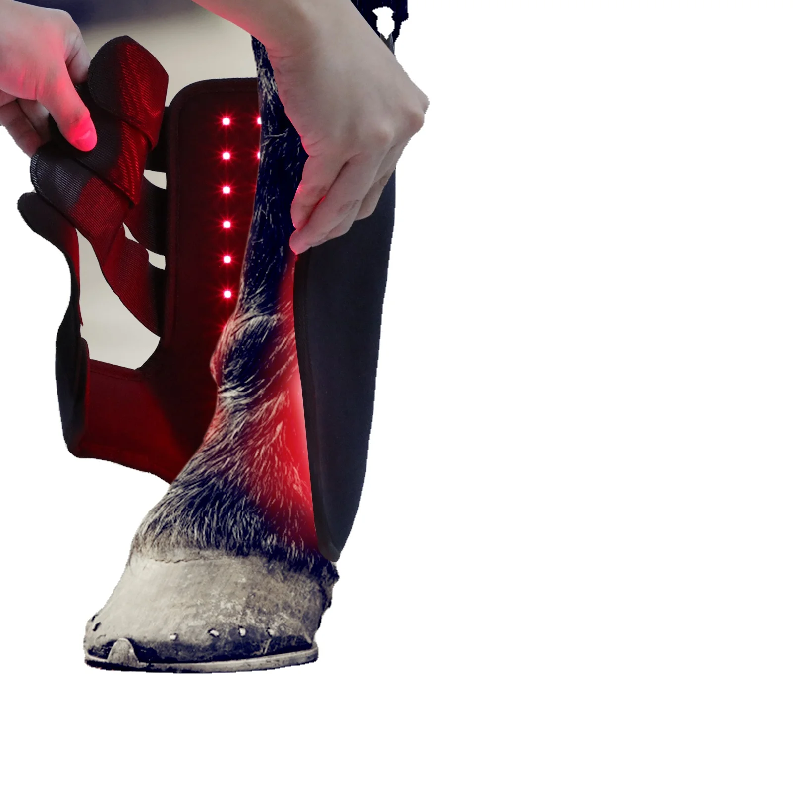 (One Pair = 2 Units) Professionals Choice Full Size Horseware Equine Cooling Ice Boot For Horse Injuries Full Red Therapy Boots
(One Pair = 2 Units) Professionals Choice Full Size Horseware Equine Cooling Ice Boot For Horse Injuries Full Red Therapy Boots