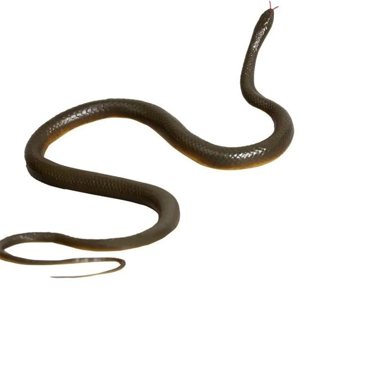 A11I Prank Snake, Tricky Toy Snake, Prank Snake on Rope, Fake Snake Prank Teasing Toy Gift
A11I Prank Snake, Tricky Toy Snake, Prank Snake on Rope, Fake Snake Prank Teasing Toy Gift