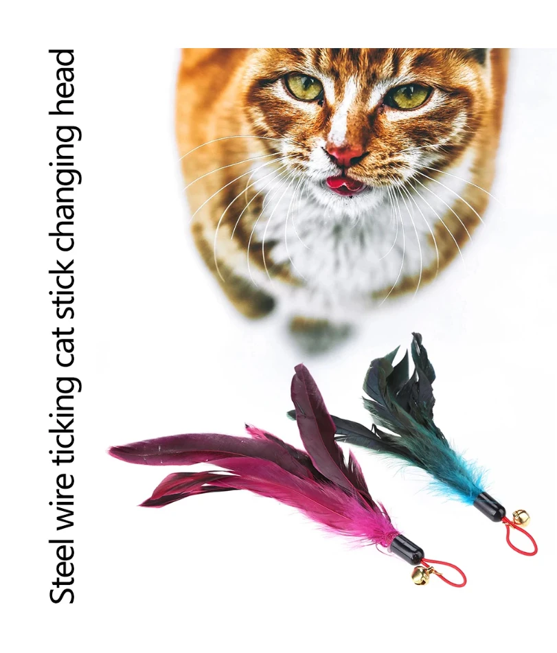 5 Pcs Interactive Catcher Teaser Cat Wand Replacement Cat Teaser Stick Pet Supplies Cat Wand Toys Refills for Most Cats Kittens
5 Pcs Interactive Catcher Teaser Cat Wand Replacement Cat Teaser Stick Pet Supplies Cat Wand Toys Refills for Most Cats Kittens