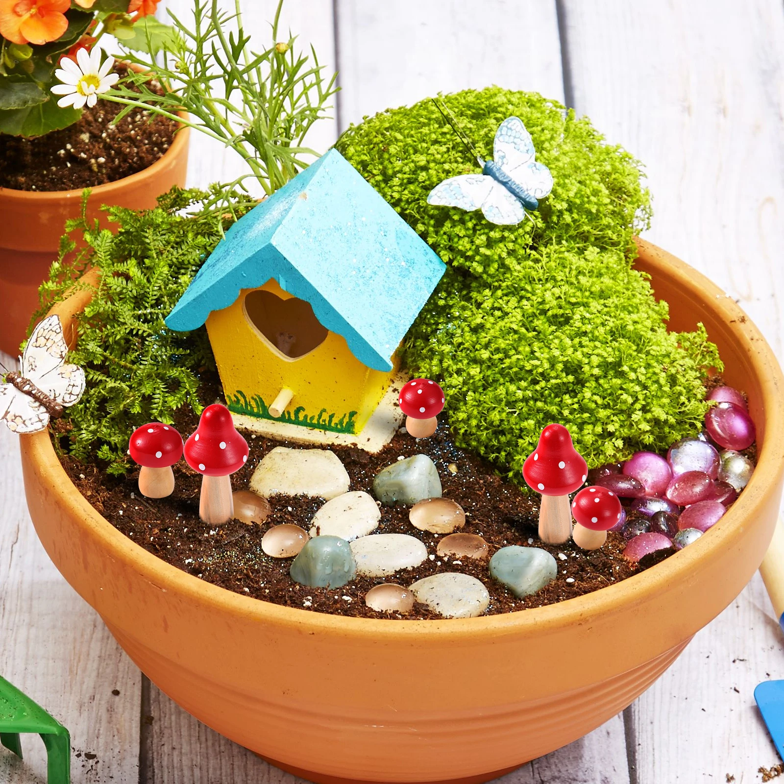 6pcs Simulation Mushroom Decorations High Quality Wood Fairy Scene Adornment Mini Craft
6pcs Simulation Mushroom Decorations High Quality Wood Fairy Scene Adornment Mini Craft
