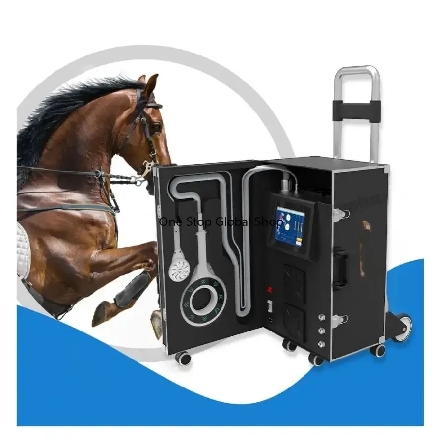 For Horse Vet Physio Magneto Hofmag Field With NIRS Rehabilitation Machine
For Horse Vet Physio Magneto Hofmag Field With NIRS Rehabilitation Machine
