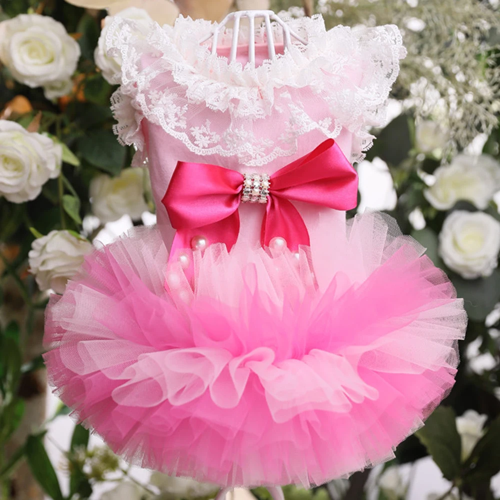 2026 Korean Pink Pet Dog Skirt Clothes Soft Hollow Lace Flower Bow Party Dresses For Small Medium Dog Poodle Puppy Clothing
2026 Korean Pink Pet Dog Skirt Clothes Soft Hollow Lace Flower Bow Party Dresses For Small Medium Dog Poodle Puppy Clothing