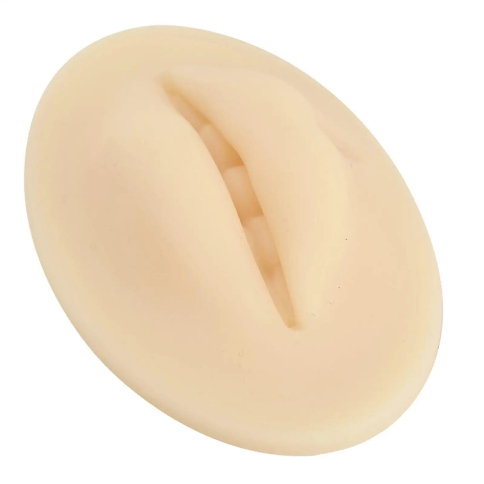 3D Practice Silicone Lips Skin Double Side Mouth Lip Model for Permanent Makeup Training Supplies
3D Practice Silicone Lips Skin Double Side Mouth Lip Model for Permanent Makeup Training Supplies