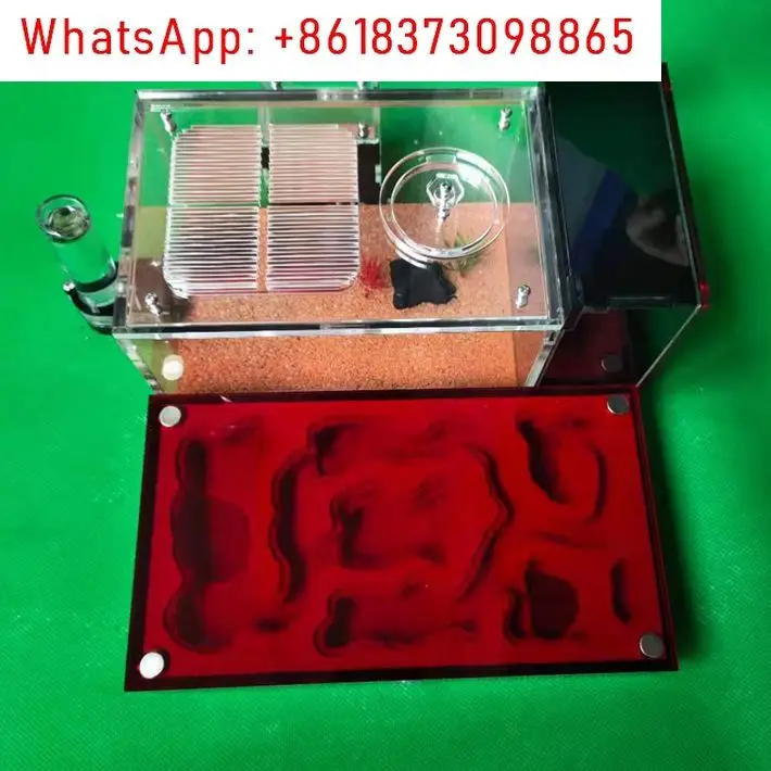 Ant feeding box, ant ecological workshop, ant lover's home
Ant feeding box, ant ecological workshop, ant lover's home