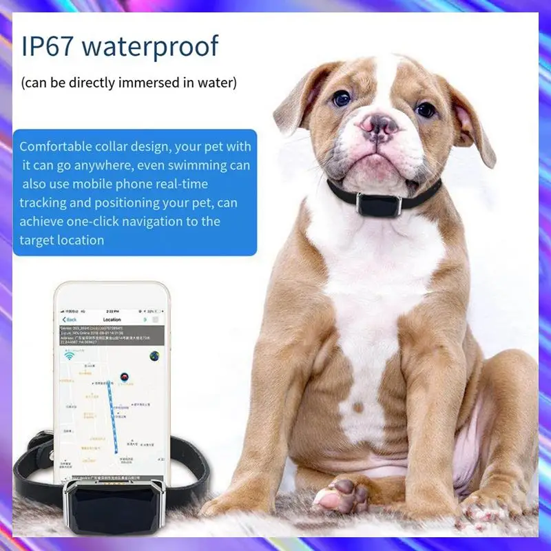 Smart GPS Waterproof Pet Locator Real Time Tracking With IP67 Waterproof For Pet
Smart GPS Waterproof Pet Locator Real Time Tracking With IP67 Waterproof For Pet