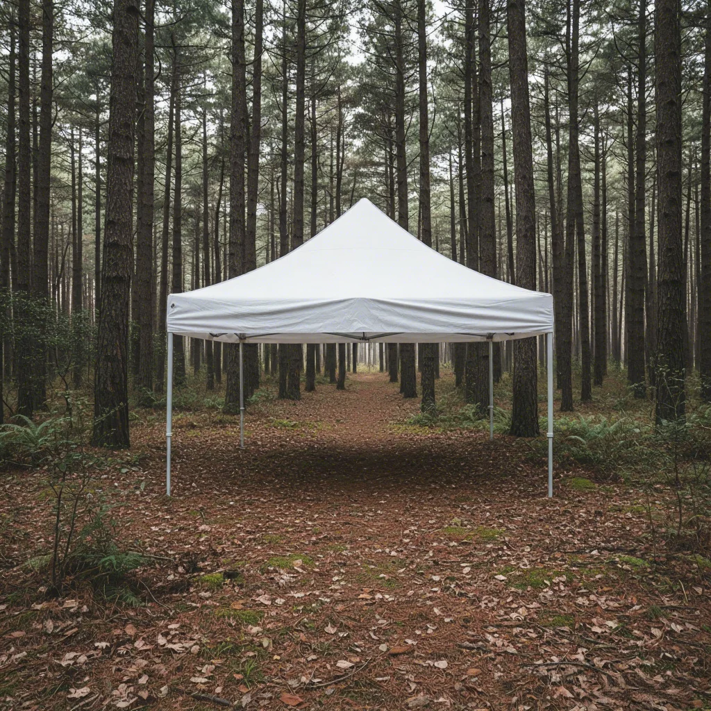 Waterproof Double Layer 3x3M Outdoor Trade Show Canopy and Pop-up Display Tents Save Time and Labor Costs
Waterproof Double Layer 3x3M Outdoor Trade Show Canopy and Pop-up Display Tents Save Time and Labor Costs