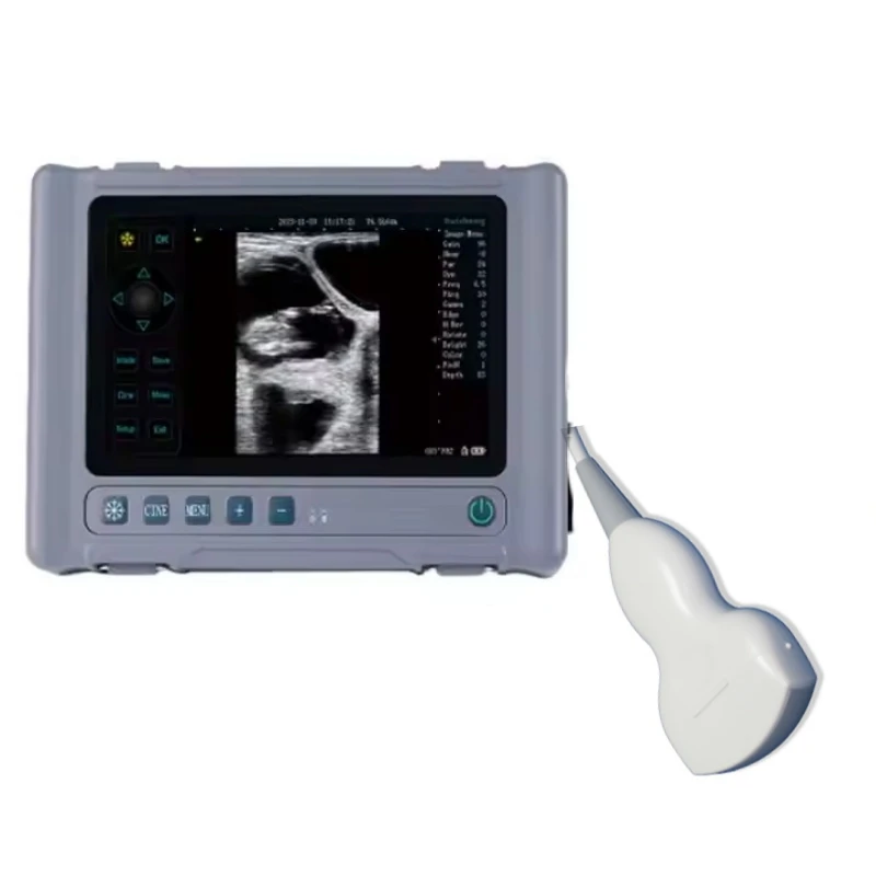 Golden Supplier 8inch Screen Waterproof Animal Handheld Portable Veterinary Horse Ultrasound Scanner Machine With Convex Probe
Golden Supplier 8inch Screen Waterproof Animal Handheld Portable Veterinary Horse Ultrasound Scanner Machine With Convex Probe