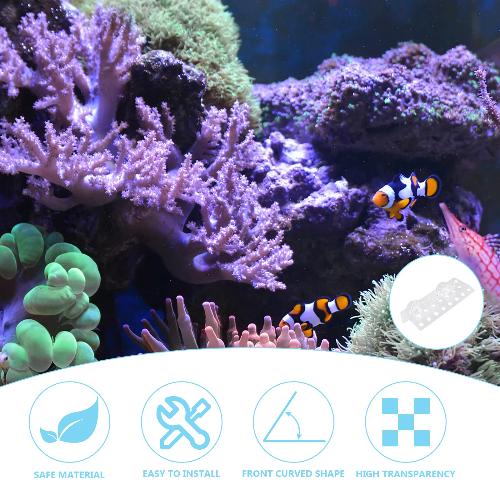 23-Hole Coral Rack Acrylic Curved Suction Cup Aquarium Coral Support Holder Base for Cultivation
23-Hole Coral Rack Acrylic Curved Suction Cup Aquarium Coral Support Holder Base for Cultivation