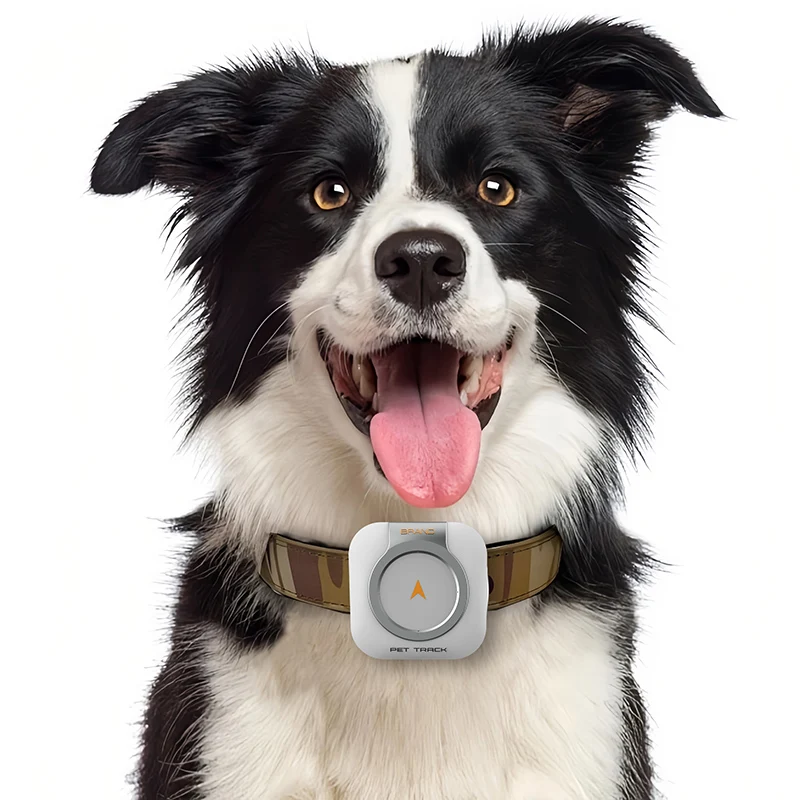 Pet Activity Monitor 4G GPS Tracker Measure Pet Calories Steps Historical Trace Health Monitor Smart GPS Tracker & Locator
Pet Activity Monitor 4G GPS Tracker Measure Pet Calories Steps Historical Trace Health Monitor Smart GPS Tracker & Locator