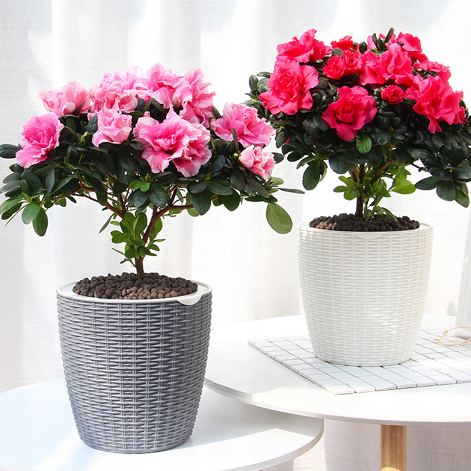Imitation Rattan Weave Pattern Flower Pot Corrosion-resistant Durable Flower Pot for Plant Roots Breathing and Draining Better
Imitation Rattan Weave Pattern Flower Pot Corrosion-resistant Durable Flower Pot for Plant Roots Breathing and Draining Better