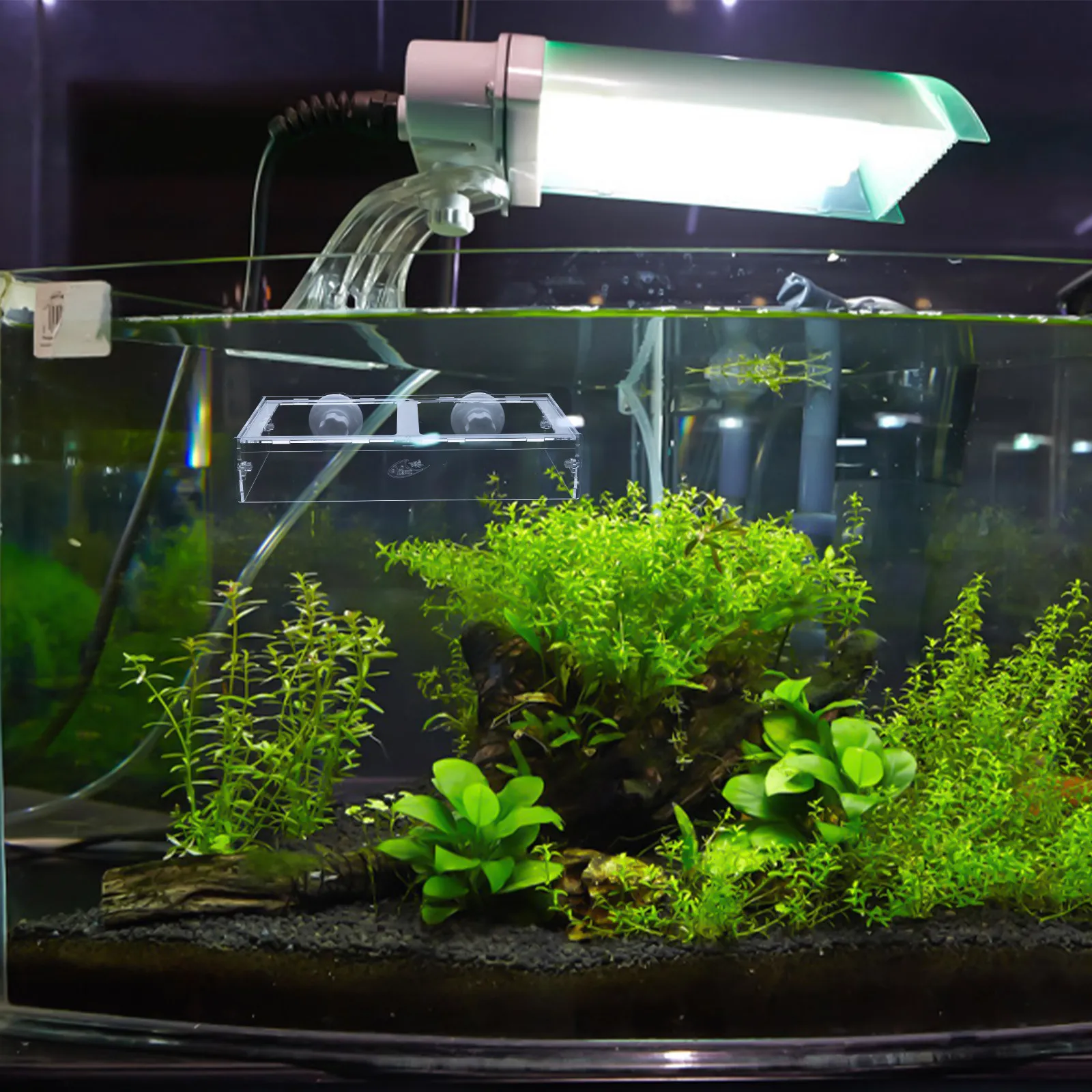 1Pcs Acrylic Fish Feeding Ring Transparent Aquarium Feeder Cup for Controlled Food Distribution Freshwater Feeding Tool
1Pcs Acrylic Fish Feeding Ring Transparent Aquarium Feeder Cup for Controlled Food Distribution Freshwater Feeding Tool
