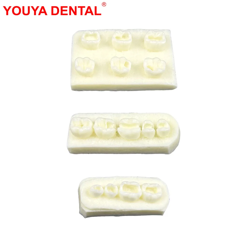 Implant Training Model Dental Filling Model Implant Teeth Model For Dentistry Practice Teaching Studying Examation Education
Implant Training Model Dental Filling Model Implant Teeth Model For Dentistry Practice Teaching Studying Examation Education