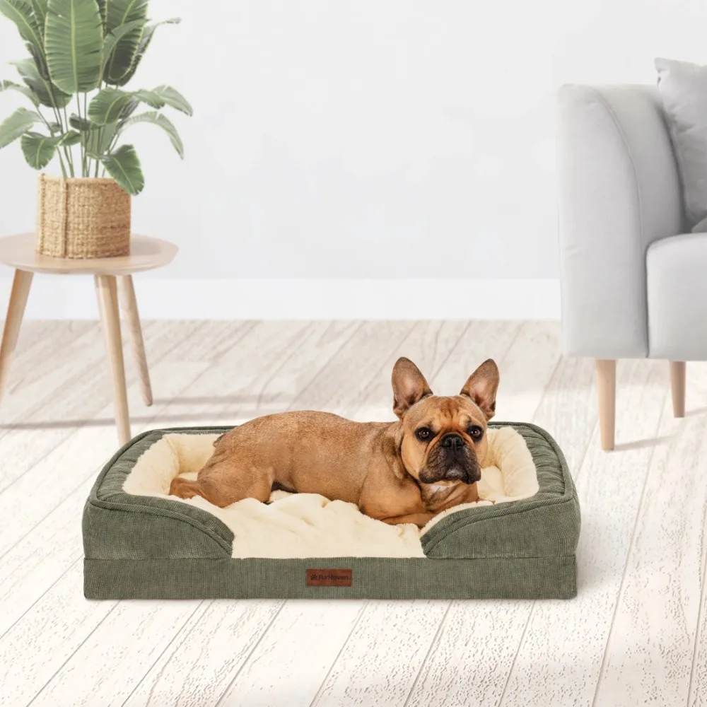 Medium Comfort Sofa Orthopedic Ped Bed, 30"x20", Green, Comfort as a Priority, Sleep Surface, Easy on Joints
Medium Comfort Sofa Orthopedic Ped Bed, 30"x20", Green, Comfort as a Priority, Sleep Surface, Easy on Joints