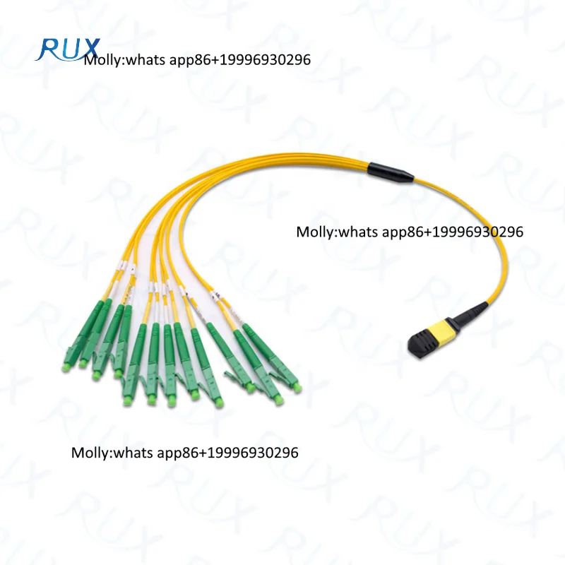 MPO/MTP Fan-out Patch Cord and Harness Cable of 12/24/36/48/72/96/144 Fibers
MPO/MTP Fan-out Patch Cord and Harness Cable of 12/24/36/48/72/96/144 Fibers