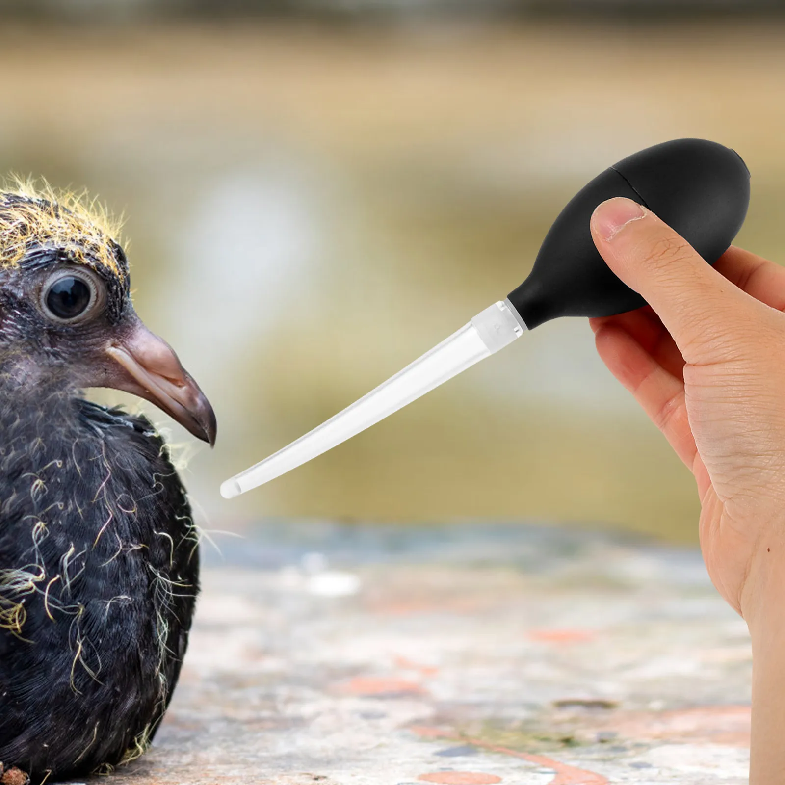 Nursing Dropper for Bird Squab Weaning Feeder Little Breast-feeding Pigeon Pet Pacifier Silica Gel Weaner Pigeons
Nursing Dropper for Bird Squab Weaning Feeder Little Breast-feeding Pigeon Pet Pacifier Silica Gel Weaner Pigeons