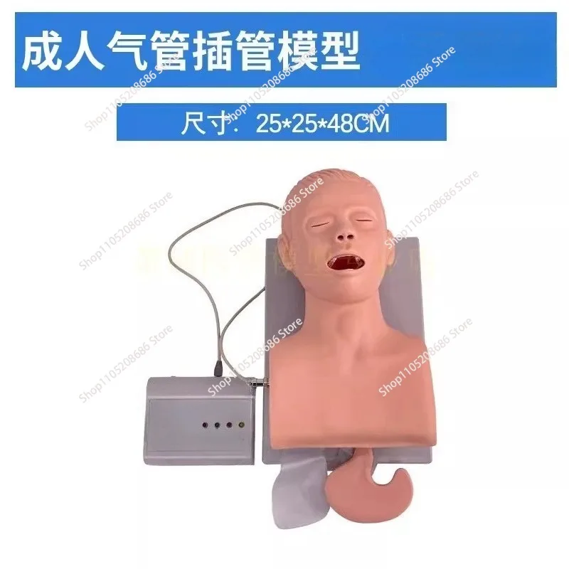 Teaching Model Human Body Electronic Endotracheal Intubation Simulation Airway With Teeth Pressure Equipment
Teaching Model Human Body Electronic Endotracheal Intubation Simulation Airway With Teeth Pressure Equipment