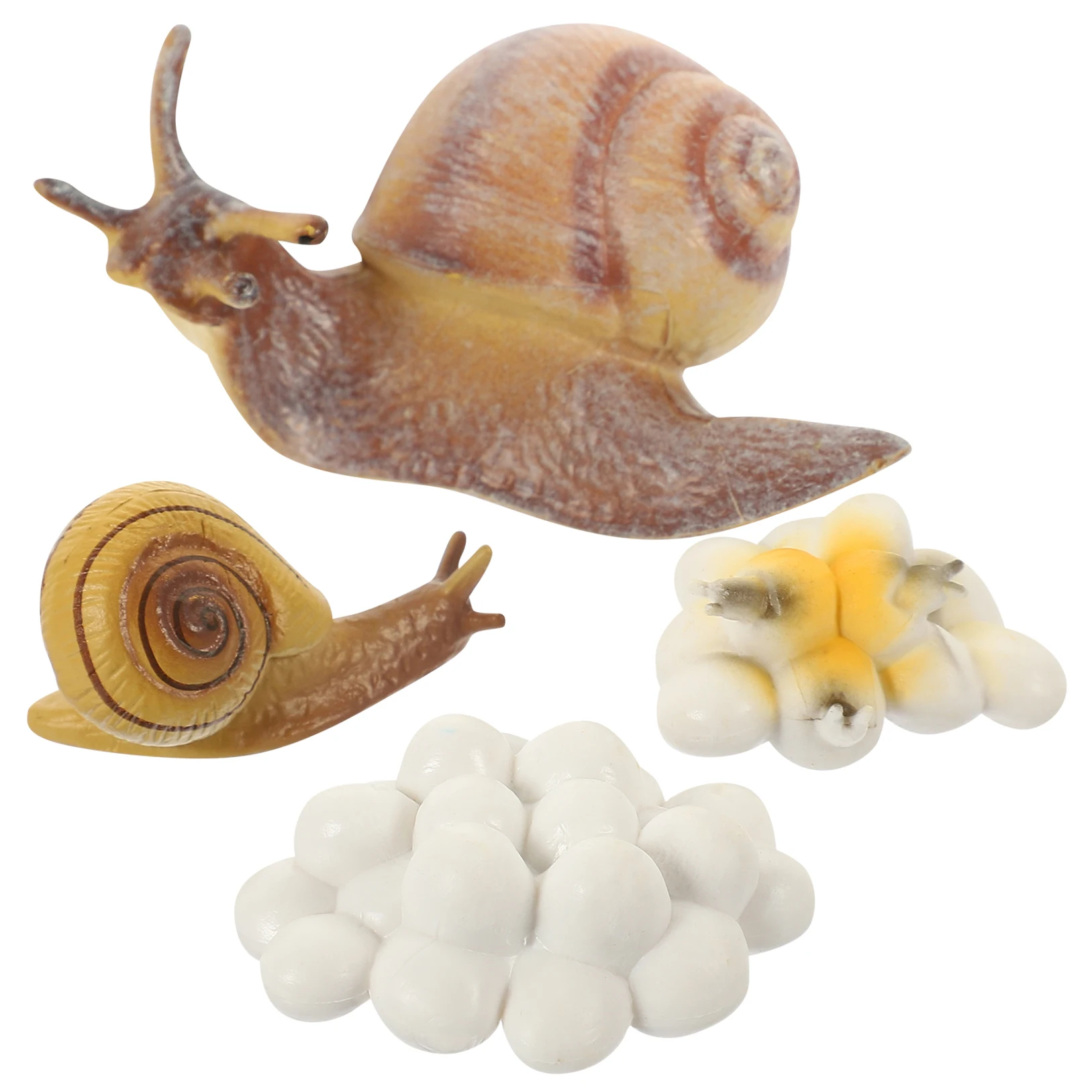 Snail Metamorphosis Cycle Miniature Growth Model Kids Toys Educational Playthings B
Snail Metamorphosis Cycle Miniature Growth Model Kids Toys Educational Playthings B