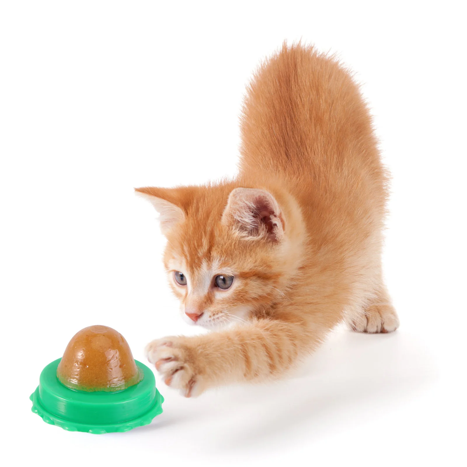 3PCS Catnip Balls Funny Lickable Cat Snack Catnip Balls Kitten Playing Chewing Cleaning Teeth Toy For Small Medium Cats pet
3PCS Catnip Balls Funny Lickable Cat Snack Catnip Balls Kitten Playing Chewing Cleaning Teeth Toy For Small Medium Cats pet