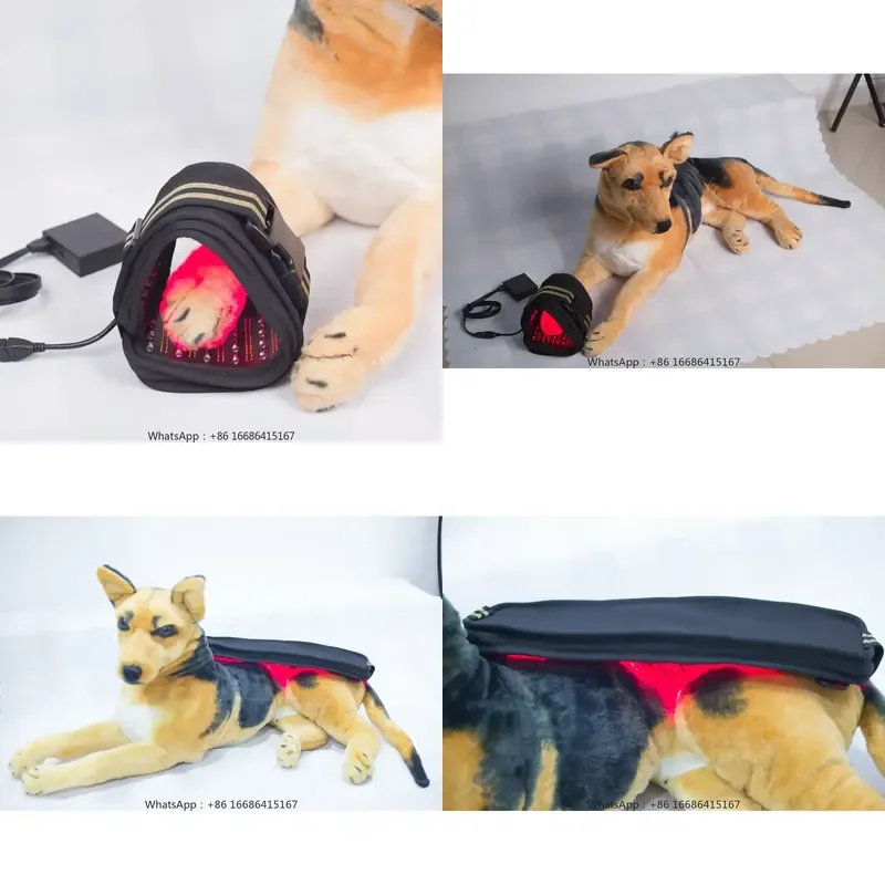 Veterinary Use Cold Therapy Device For Pet Pain Dog/ Pain Relief Animal Treatment Equipment
Veterinary Use Cold Therapy Device For Pet Pain Dog/ Pain Relief Animal Treatment Equipment