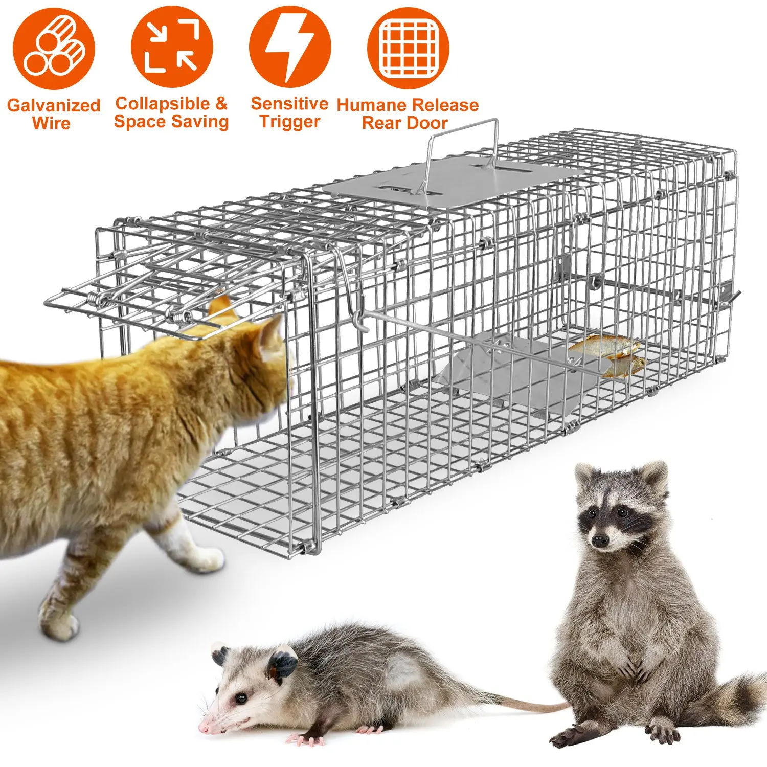 Humane Cat Trap Cage Catch Release Live Animal Rodent Cage Collapsible Galvanized Wire for Small Raccoons Beavers Groundhogs
Humane Cat Trap Cage Catch Release Live Animal Rodent Cage Collapsible Galvanized Wire for Small Raccoons Beavers Groundhogs
